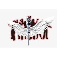 「服装直播带货培训课程」-「服装直播培训