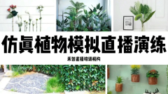 玉树短视频培训学校线上实时直播真人授课,